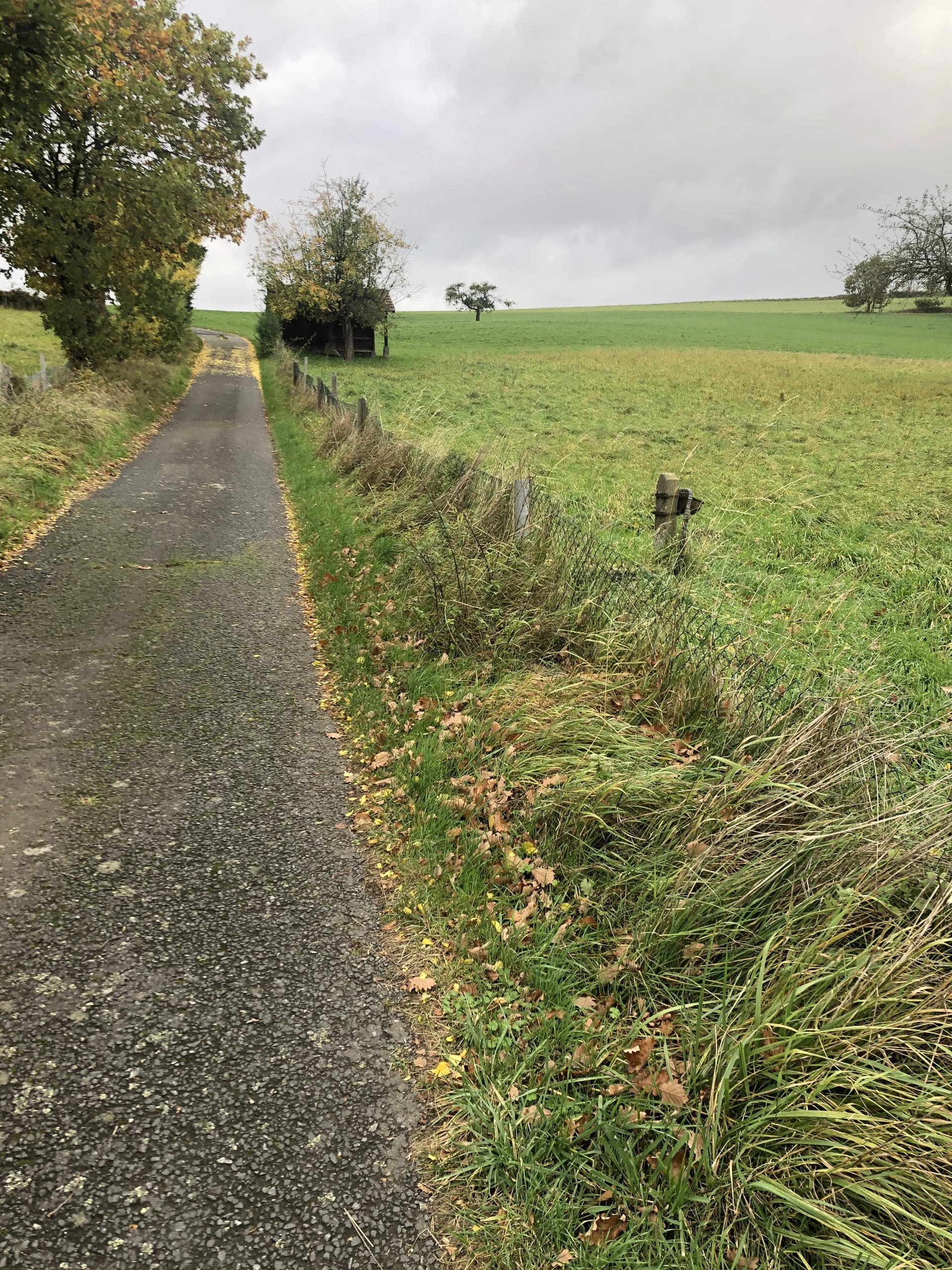 Projekt Merzhof Einzäunung – Foto 4